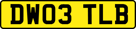 DW03TLB