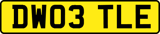 DW03TLE