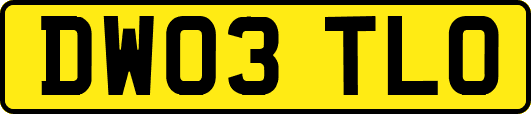 DW03TLO