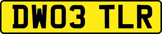 DW03TLR