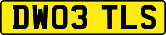 DW03TLS