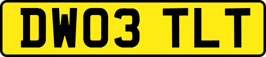 DW03TLT