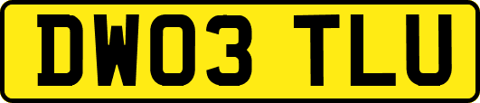 DW03TLU