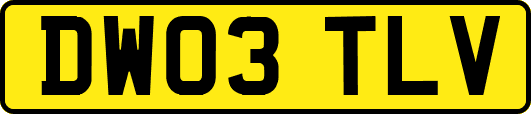 DW03TLV