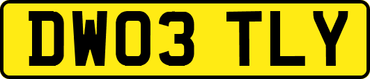DW03TLY
