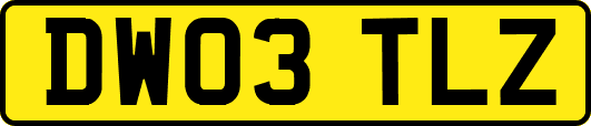 DW03TLZ