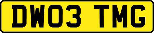 DW03TMG