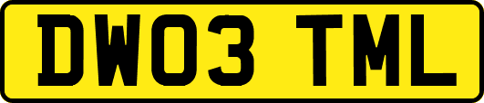 DW03TML