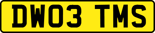 DW03TMS