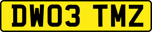 DW03TMZ