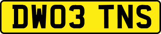 DW03TNS