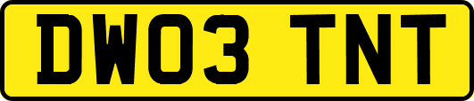 DW03TNT