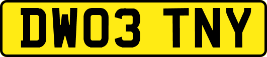 DW03TNY