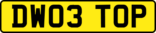 DW03TOP