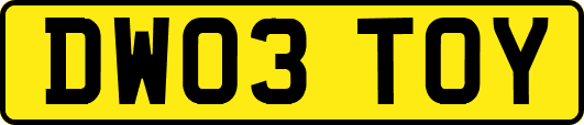 DW03TOY