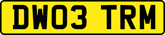 DW03TRM