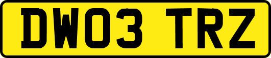 DW03TRZ