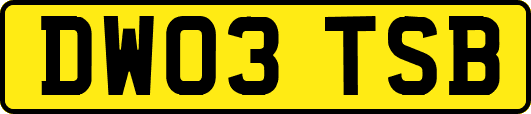 DW03TSB