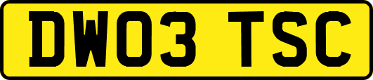 DW03TSC