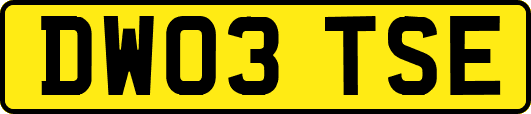 DW03TSE