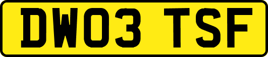 DW03TSF