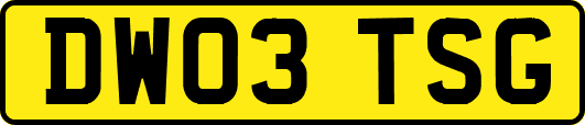 DW03TSG