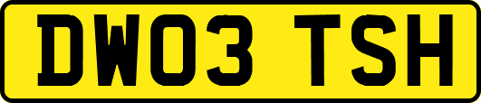 DW03TSH