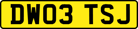 DW03TSJ