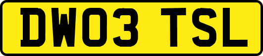 DW03TSL