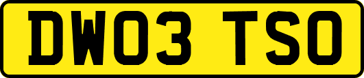 DW03TSO
