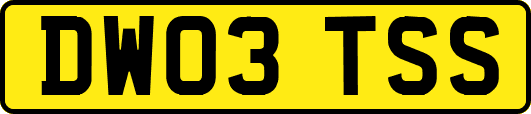 DW03TSS
