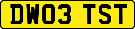 DW03TST