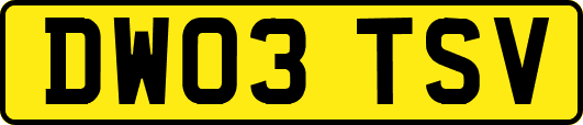 DW03TSV