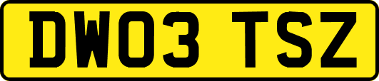 DW03TSZ