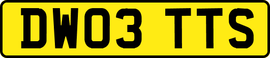 DW03TTS