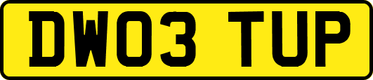 DW03TUP
