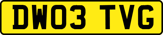 DW03TVG
