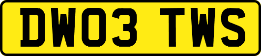 DW03TWS