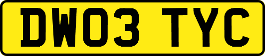 DW03TYC
