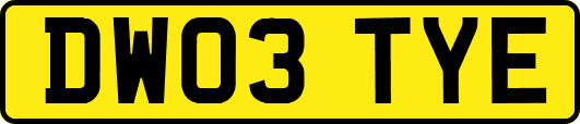 DW03TYE