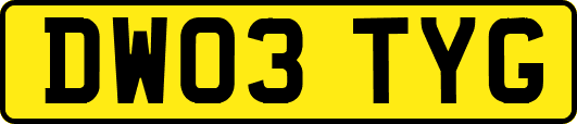 DW03TYG