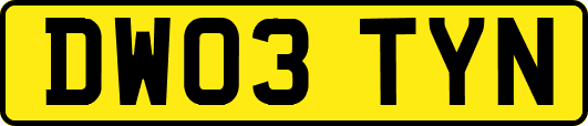 DW03TYN