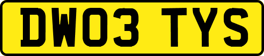 DW03TYS