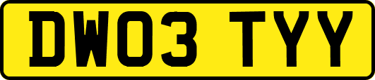 DW03TYY