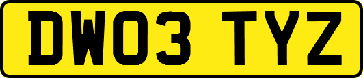 DW03TYZ