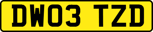 DW03TZD