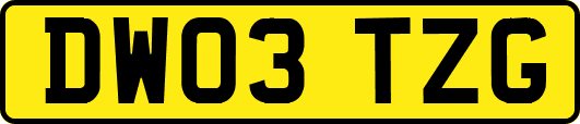 DW03TZG