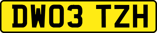 DW03TZH