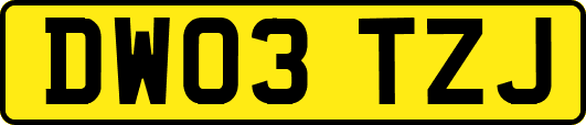 DW03TZJ