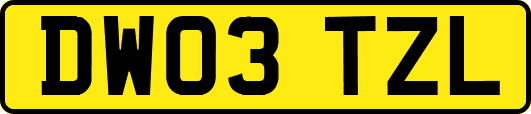 DW03TZL